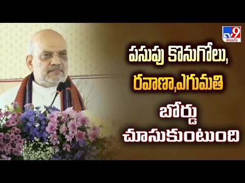 పసుపు కొనుగోలు, రవాణా,ఎగుమతి బోర్డు చూసుకుంటుంది | Amit Shah Full Speech In Turmeric Board - TV9 - TV9