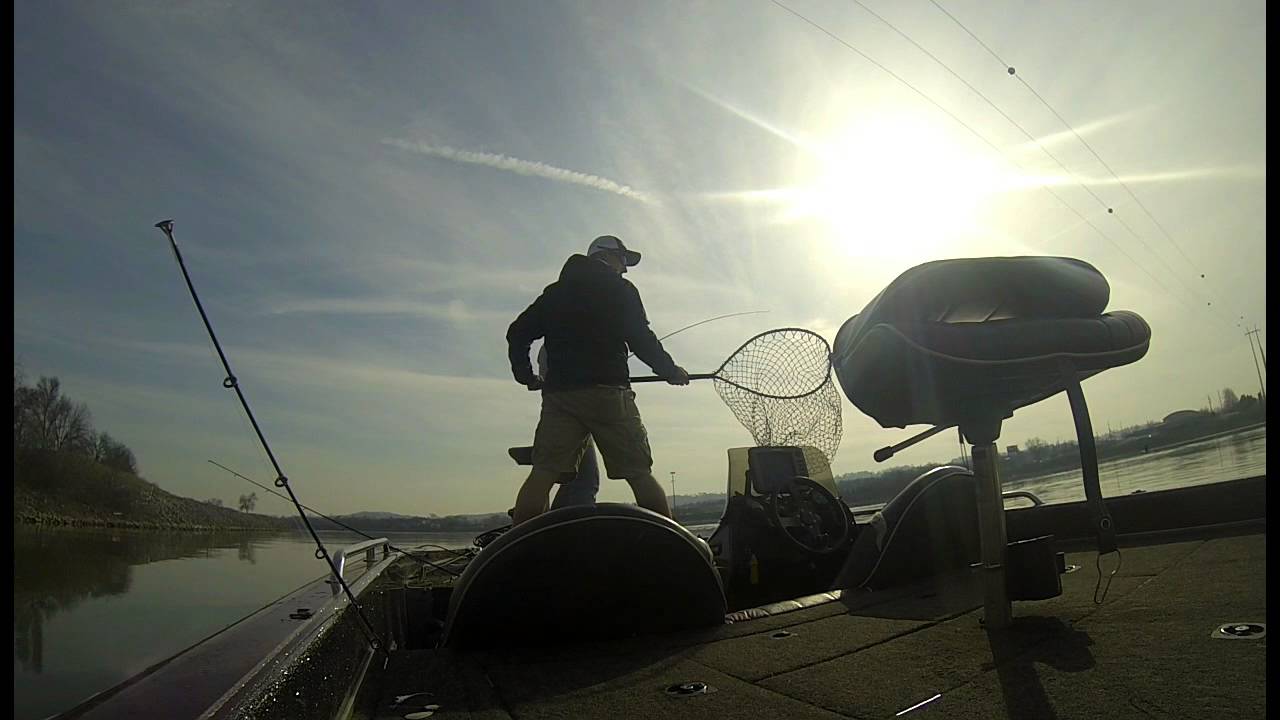 Bass Fishing Nickajack Lake, Tennessee - YouTube