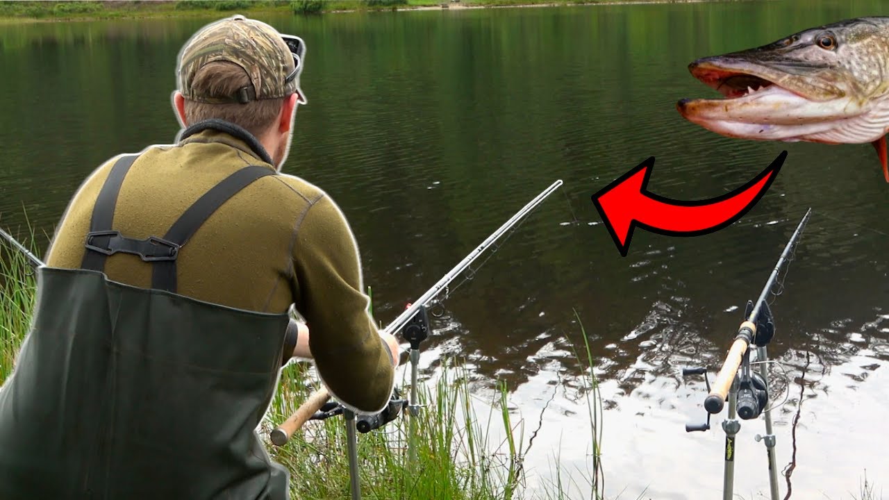 Приманка для щуки в Троссачах