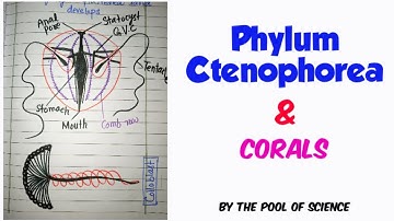 B.Sc,ADP,B.S Zoology | Phylum Ctenophorea | Corals | by The Pool of Science