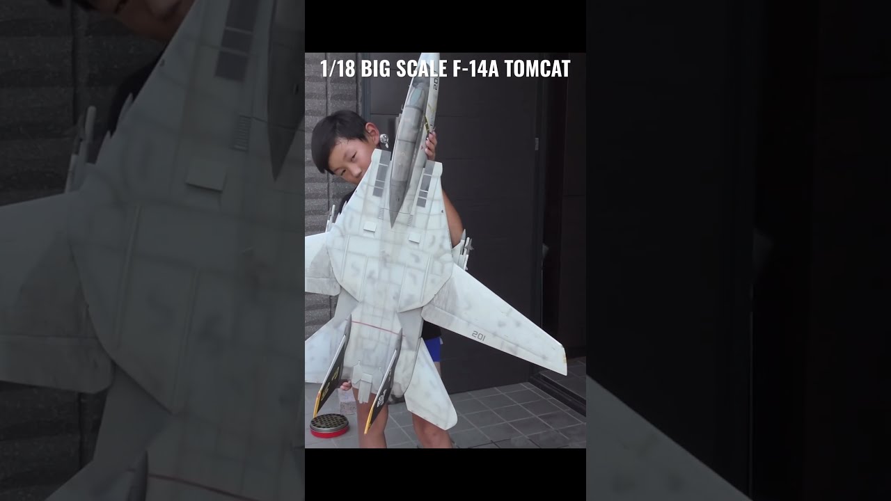 早い者勝ち最大値下げ TOPGUN F14 TOMCAT TOP GUN】BIG SCALE F-14A TOMCAT / ビッグスケールのF-14を洗機