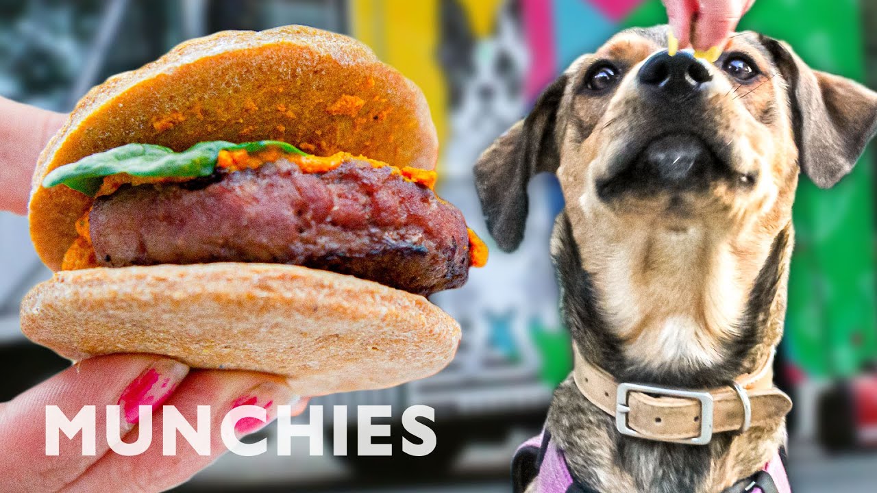 Dogs Eat Like Royalty At Woofbowl - Street Food Icons | Munchies