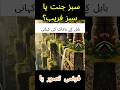 hanging gardens, Babylon, #iraq #usa #war #portal #history #trendingshorts #reel #shorts #israel