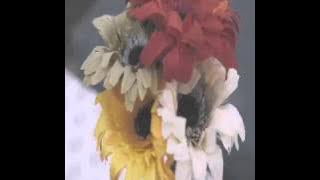 Kolaborasi FOXS dan HiVi!-Best Friend Forever (45s)