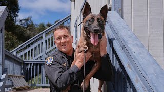 SWAT K9 Training | Cruising with Canines