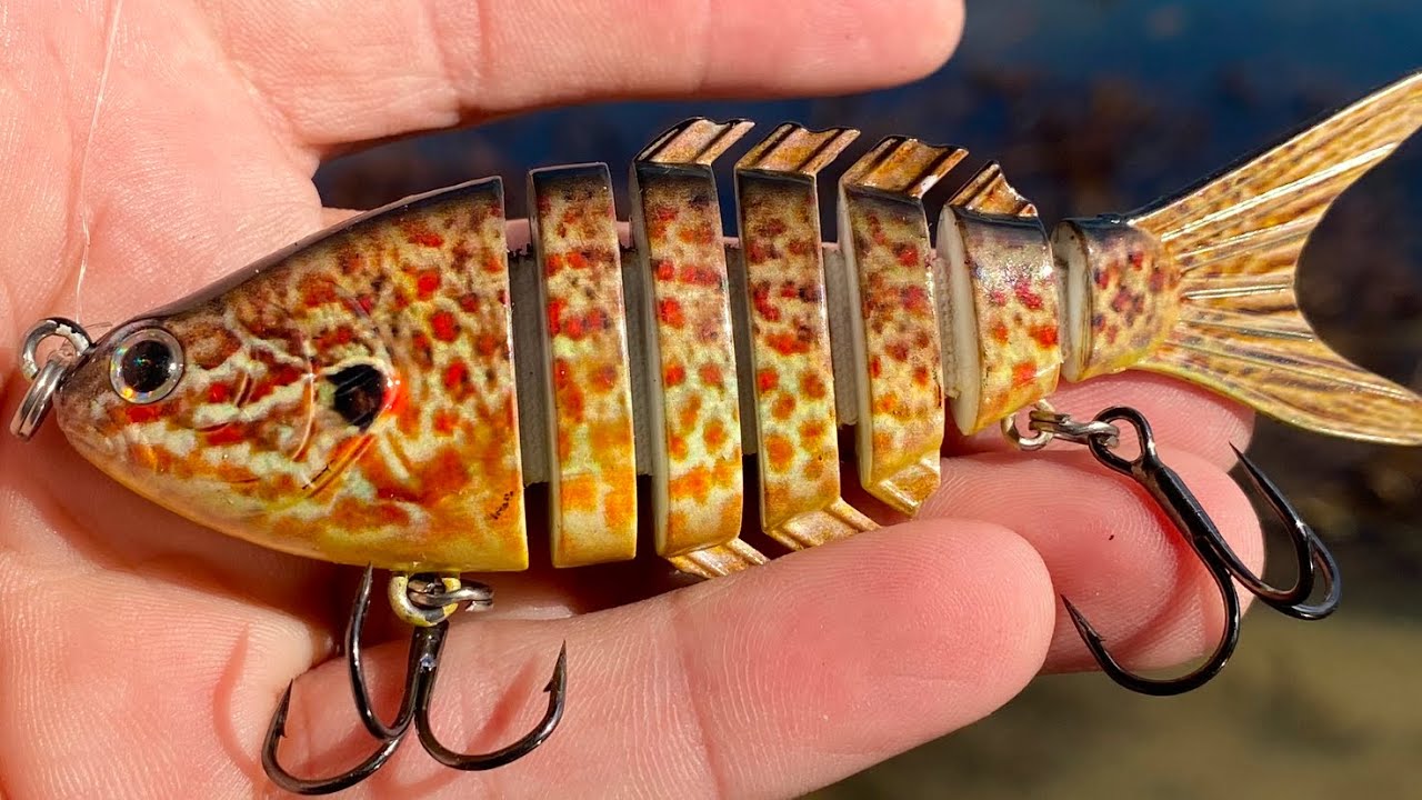 Bank fishing with Bass Pro Shops XPS RealImage HDS Forked-Tail Swimbait. I lose it! 🤦‍♂️