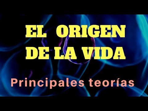 Vídeo: 10 Teorías Alternativas Para Explicar Cómo Surgió La Vida En La Tierra - Vista Alternativa