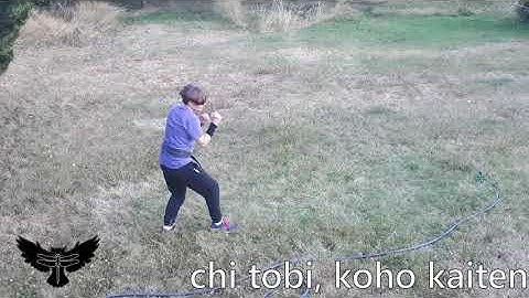 Chi Tobi + Koho Kaiten: Taihenjutsu Basics