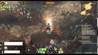 chaplain test buff Lv1 (Tree of savior )