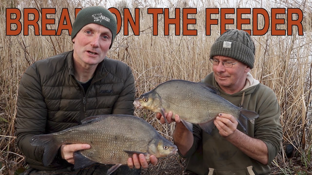 Bream Fishing Feeder Fishing YouTube