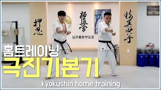 kyokushin Home training