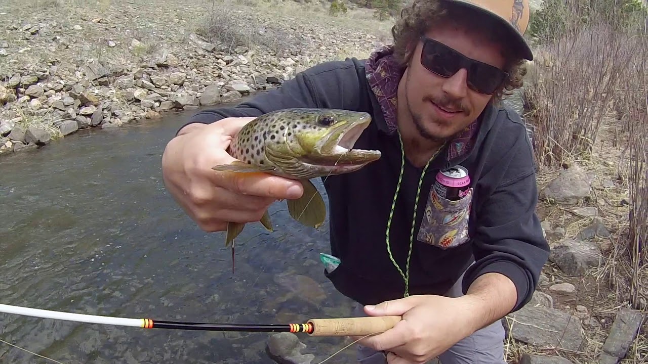 North Fork Poudre River Fly Fishing YouTube
