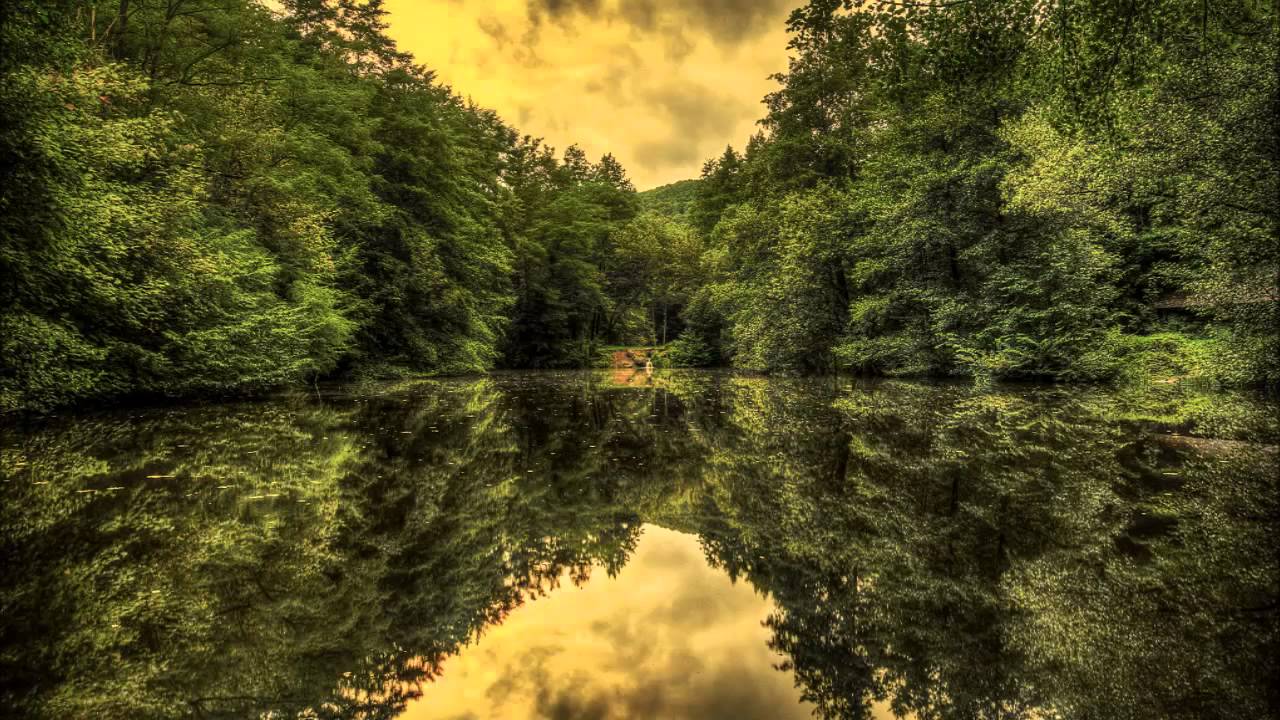 Joel Fajerman Flower's love Guitar version instrumental YouTube