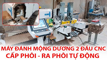 Máy Phay Mộng Dương 2 Đầu CNC Cấp Phôi Tự Động- Máy Phay Mộng 2 Đầu CNC - SM 2218