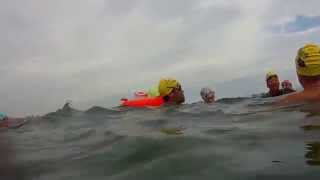 Unos lobos de Aguas Abiertas de Asturias en Antromero