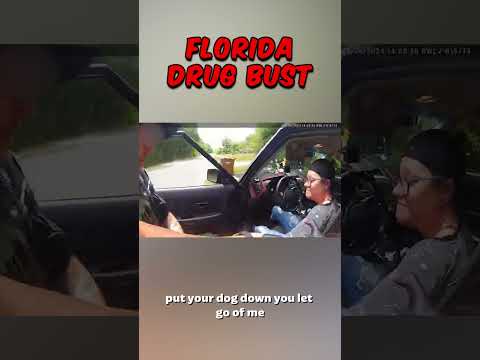 Florida POLICE Make MASSIVE Drug Bust During Traffic Stop #FloridaPolice #DrugBust #PoliceBodycam