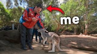 James Marriott Goes To Australia Guide