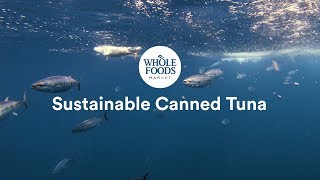 Sustainable Canned Tuna l Whole Foods Market