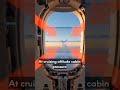 🎬 Why Airplane Windows Have a Tiny Hole ✈️ | 3D Explained