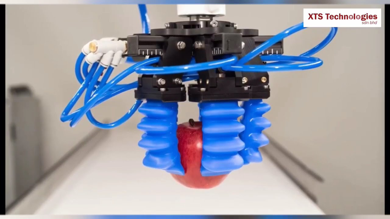 SOFT GRIPPER for Food Grade & flexible gripper different size for Fruit, biscuit, donut, chips, F&B