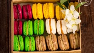 Макарон. Видеокурс по Macaron. Макарон. Видеокурс по Macaron.