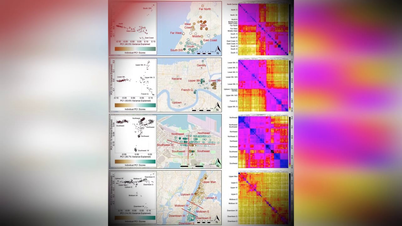 There Are Now So Many City Rats They've Split Into Distinct 'Uptown' And 'Downtown' Populations