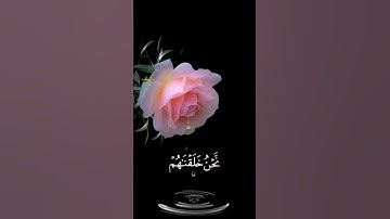 صباح الخير 🌺حالات واتساب مقاطع قصيره🌺قران سورة الإنسان ان هؤلاء يحبون العاجله🌺احمد النفيس بدون حقوق