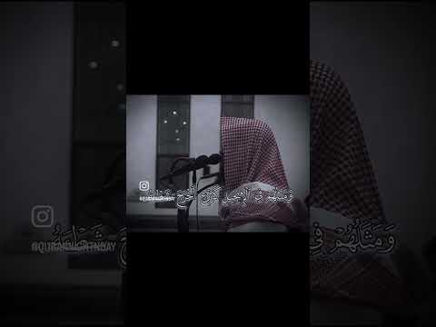 محمد رسول الله والذين معه اشداء على الكفار رحماء بينهم سورة الفتح محمد اللحيدان