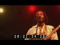 Reggae In My Head - Ziggy Marley live at Summer Sonic Festival, Tokyo  (2011)