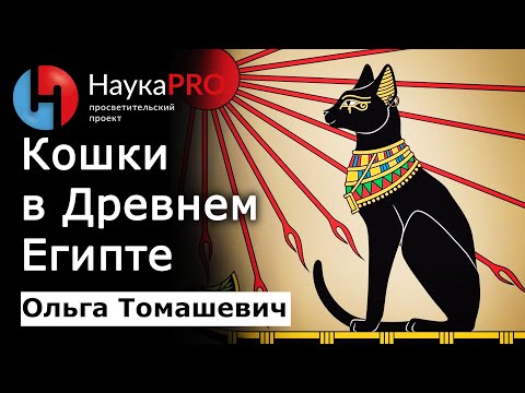 Кошки в Древнем Египте – Ольга Томашевич | Лекции по египтологии