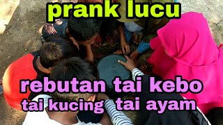 PRANK TAI KEBO TAI KUCING TAI AYAM DI REBUTIN