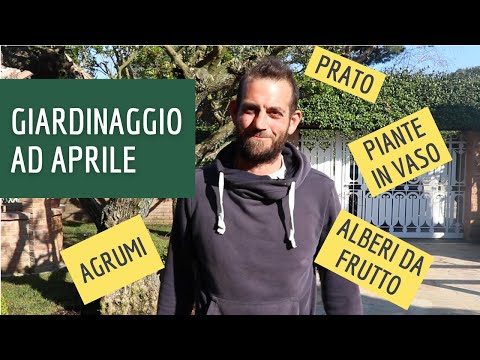 Video: Lista delle cose da fare in giardino – Attività di giardinaggio di aprile per l'Upper Midwest