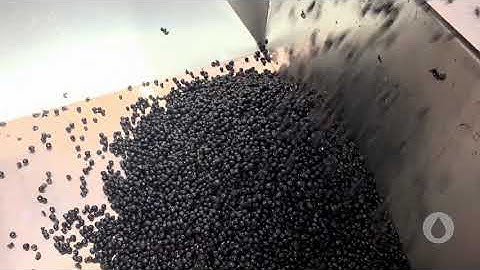 Armbruster Rotovib with Rollersorter Destemming Grapes