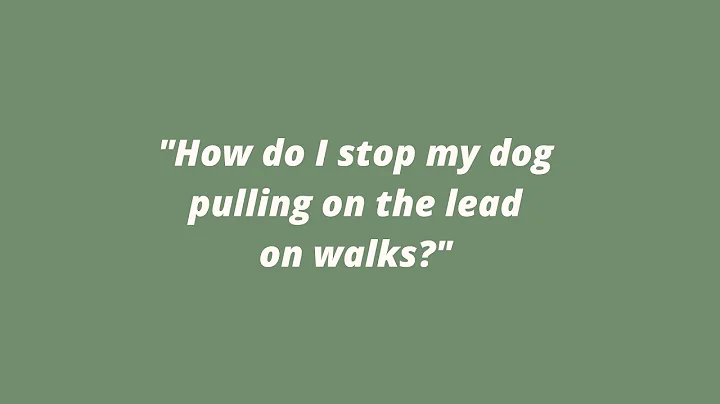 Pulling on the lead