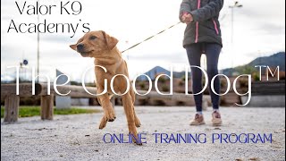 The Good Dog Program™ by ValorK9Academy® 103 views 3 months ago 1 minute, 1 second