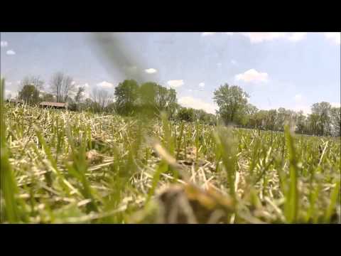 Видео: Matthiessen State Park: полное руководство