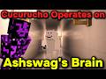Ashswag Gets Operated on By Cucurucho on QSMP 2 Minecraft