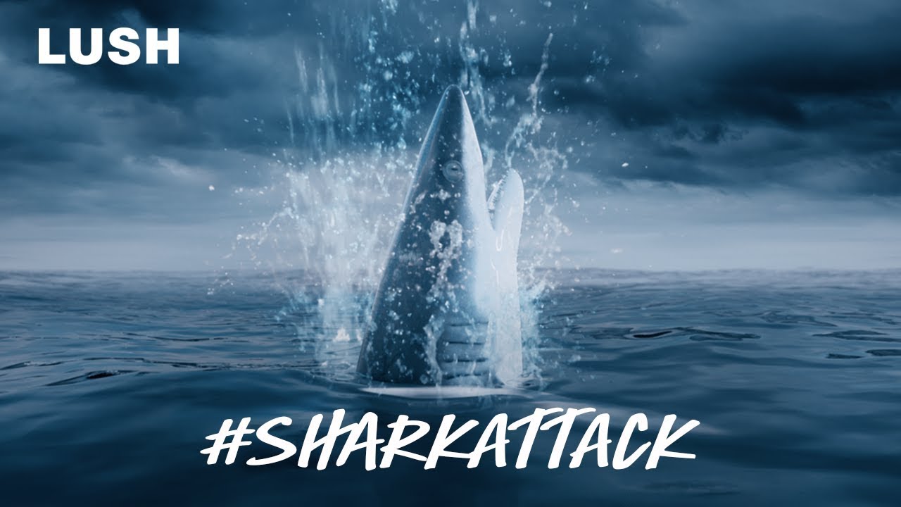 A Clear Makeup Bag Featuring An Allover Shark Print And A Top Zipper