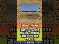 SOPHIA 24th シングル「please,please」【曲解説 shorts 松岡充 豊田和貴 都啓一 黒柳能生 赤松芳朋】