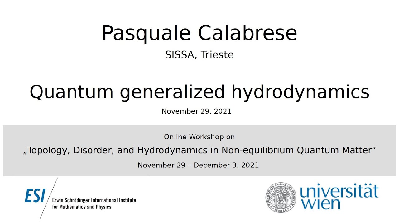 Pasquale Calabrese - Quantum generalized hydrodynamics