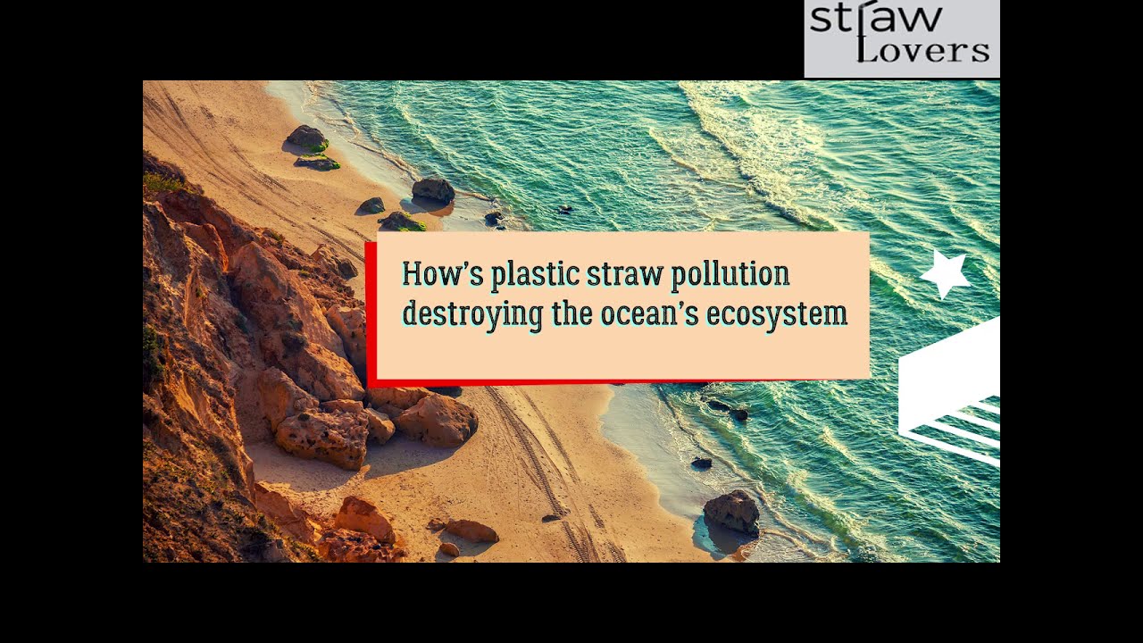 How’s plastic straw pollution destroying the ocean’s ecosystem?