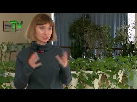 2030 წლისთვის საქართველოს ტყის ჩამჭერუნარიანობა უნდა გაიზარდოს - ეკა მიქაძე