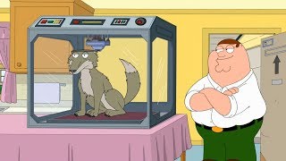 A Wolf Made By 3D Printer