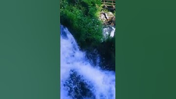 التلاوة الخالدة التي ادهشت الكثير حول العالم للشيخ محمد السايح #القرآن_الكريم #كنوز_القرآن