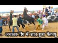 Pushkar fair Stallion Ring _Indian Marwadi Horse🏇Show_पुष्कर मेला|Shan in Ring