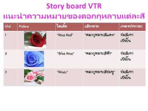 Story board VTR ความหมายของดอกกุหลาบแต่ละสี