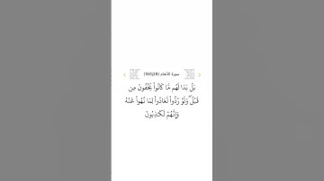 سورة الأنعام ٢٨