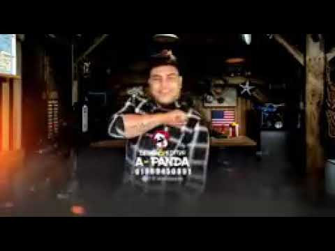 مهرجان صدف صدف