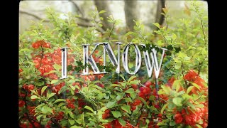 Video thumbnail of "ka$hdami - i know [prod. lil tecca] dir. by @1karlwithak (official music video)"