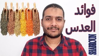 فوائد العدس 2020 | محمد شبرون